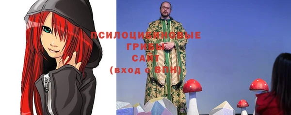 мдпв Нея