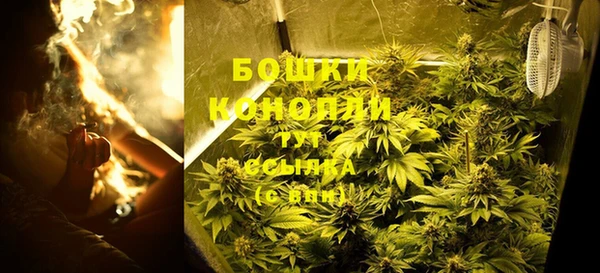 мдпв Нея
