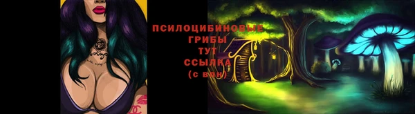 мдпв Нея