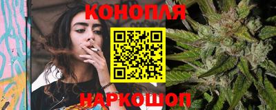 стаф Заводоуковск