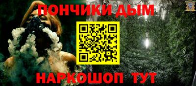 стаф Заводоуковск