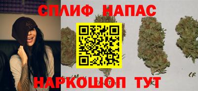 твердый Будённовск