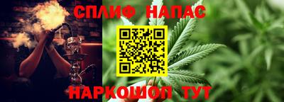 стаф Заводоуковск