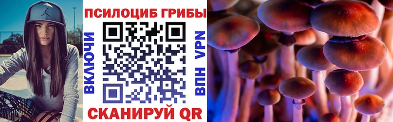 Галлюциногенные грибы Cubensis  купить наркотики цена  Куйбышев 