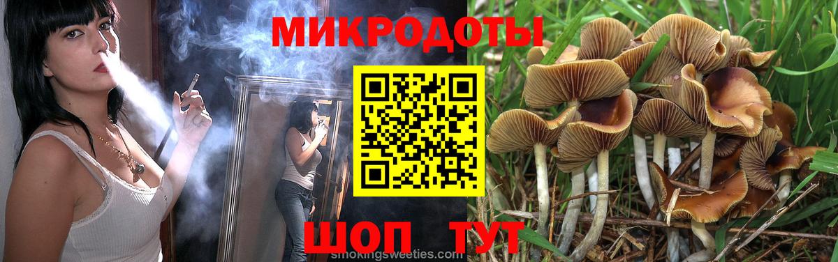 Куйбышев  Галлюциногенные грибы мухоморы  Вход с VPN  Галлюциногенные грибы Psilocybine cubensis 